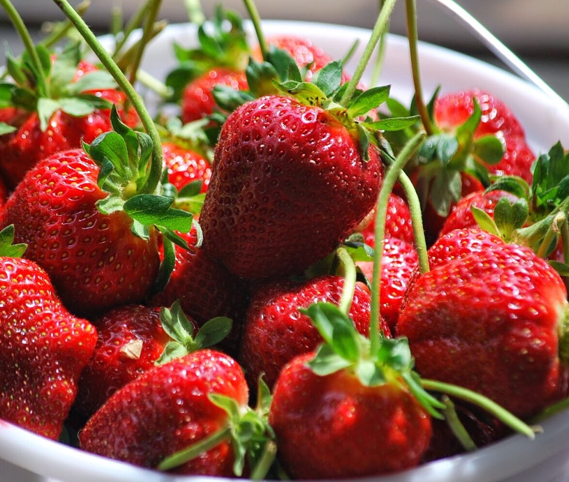 Клубника Презент